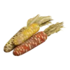 Кукуруза "Кванза"